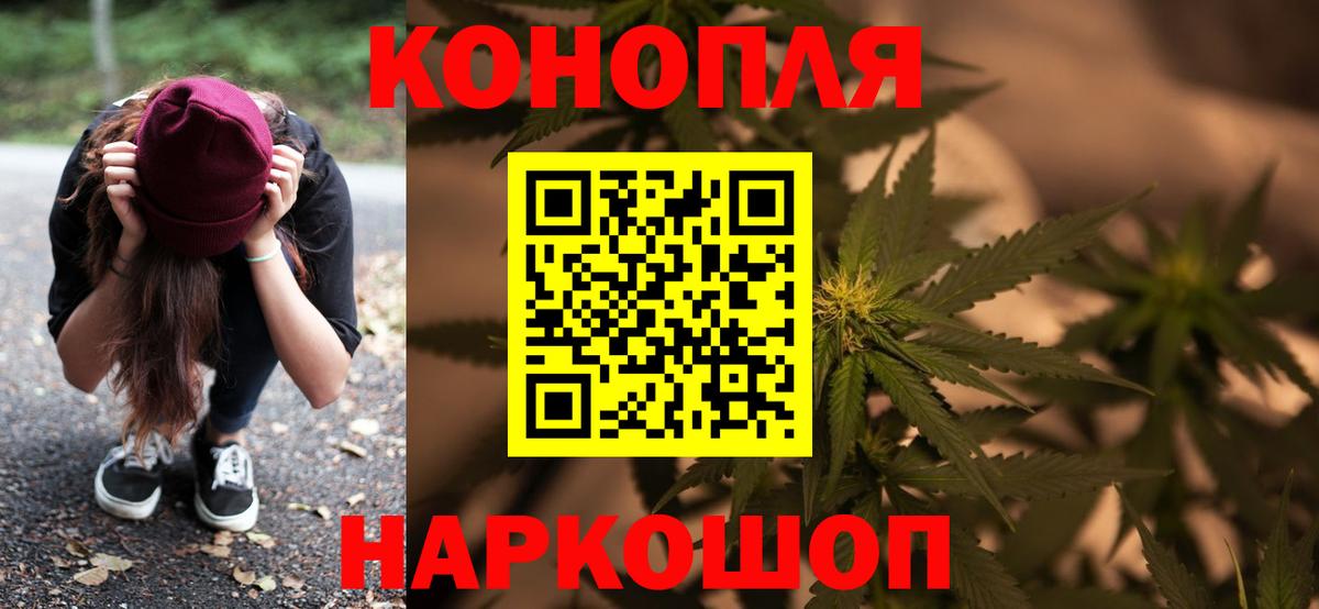 МАРИХУАНА семена Нефтекумск